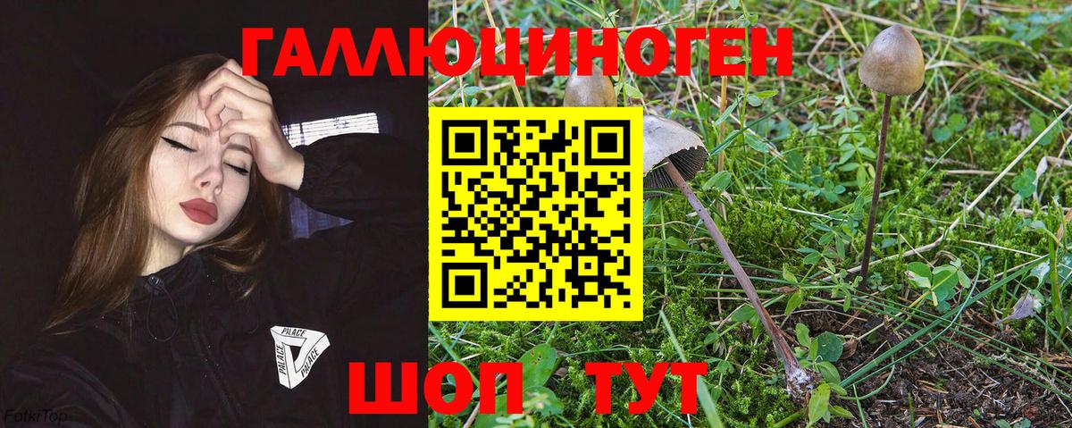 Псилоцибиновые грибы Magic Shrooms  Вход с VPN  Белогорск 