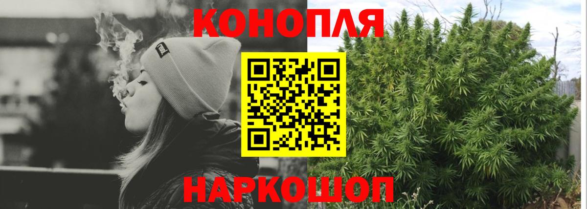 Бошки Шишки семена Белогорск